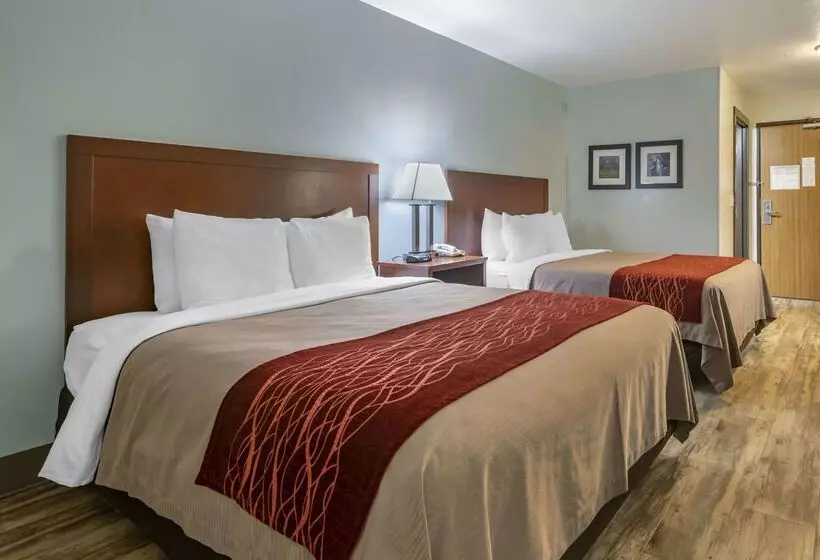 Surestay Plus Hotel By Best Western Buffalo