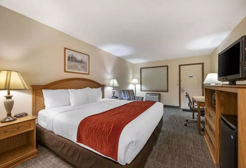 Surestay Plus Hotel By Best Western Buffalo