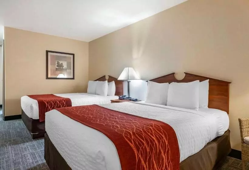 Surestay Plus Hotel By Best Western Buffalo