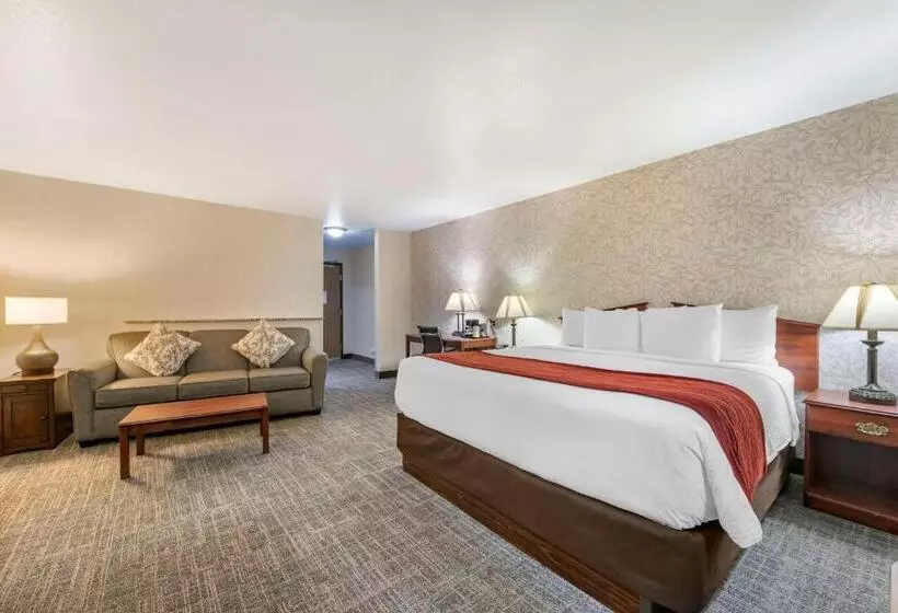 Surestay Plus Hotel By Best Western Buffalo