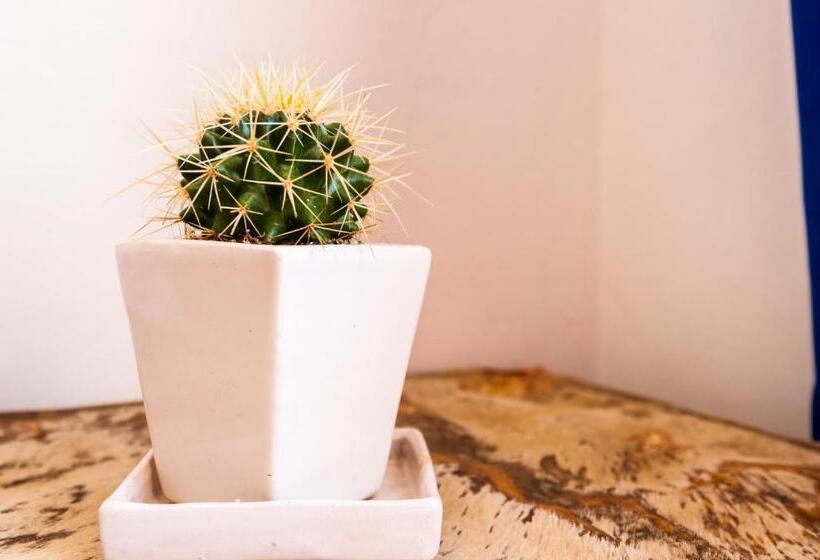 Общежитие Casa Mediterránea Villa De Leyva