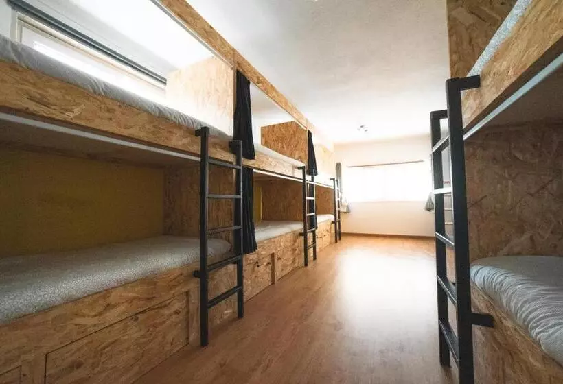 هاستل Gundi House