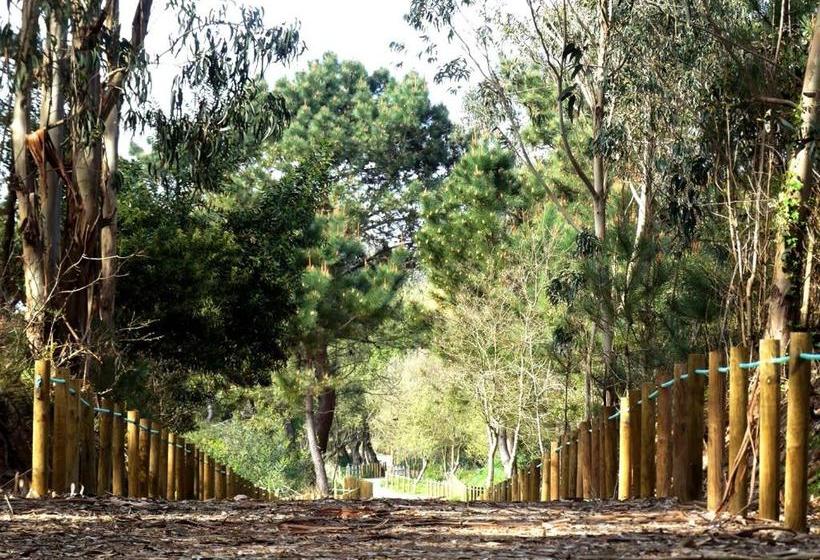 호스텔 Porto Beach Lodge