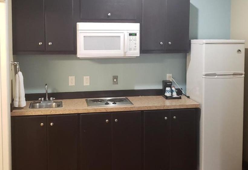 Отель Horizon Inn & Suites