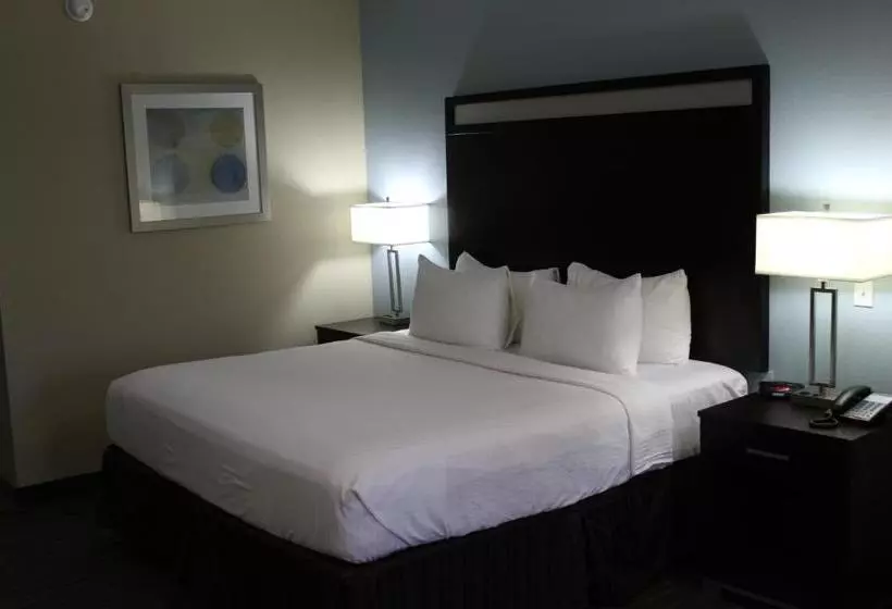 Hotelli Horizon Inn & Suites