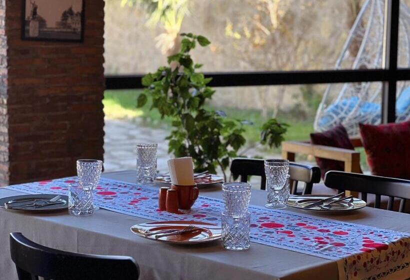 Vineyard Hotel & Winery