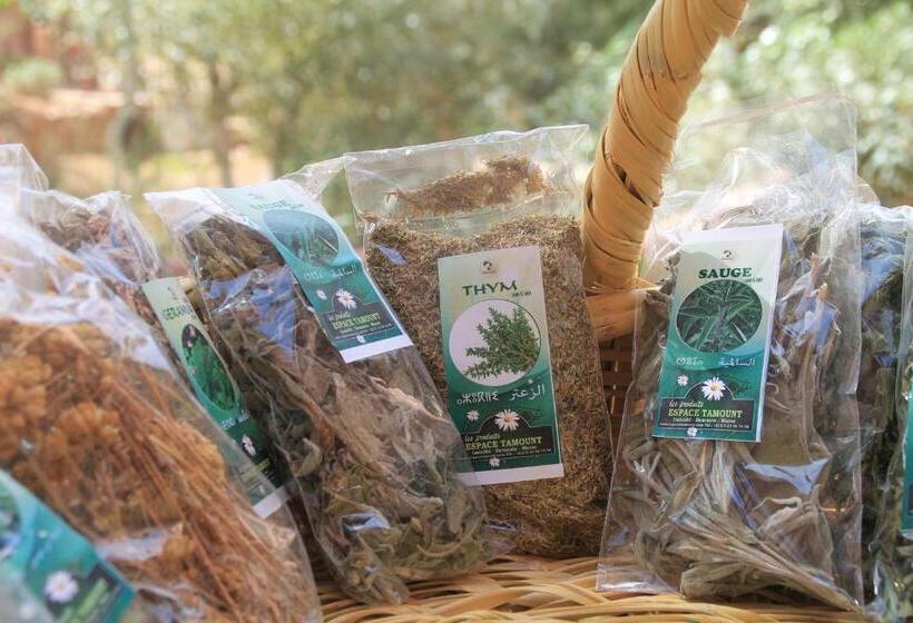 هتل Ecolodge Espace Tamount