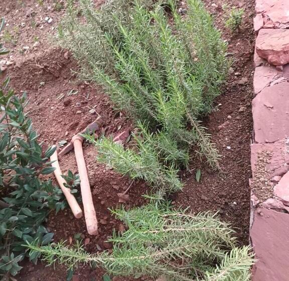 هتل Ecolodge Espace Tamount