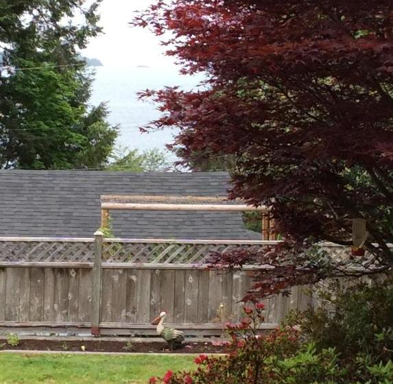 膳宿费 Gone Coastal