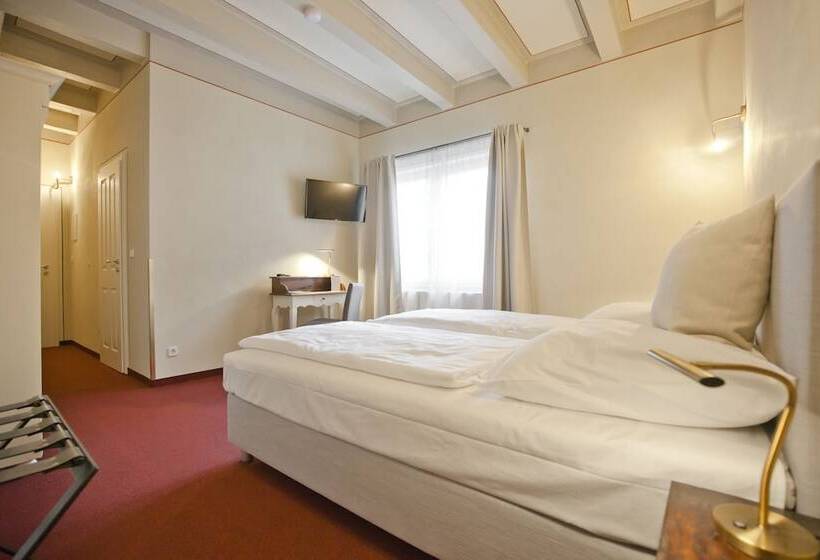 پانسیون Altstadt Gästehaus