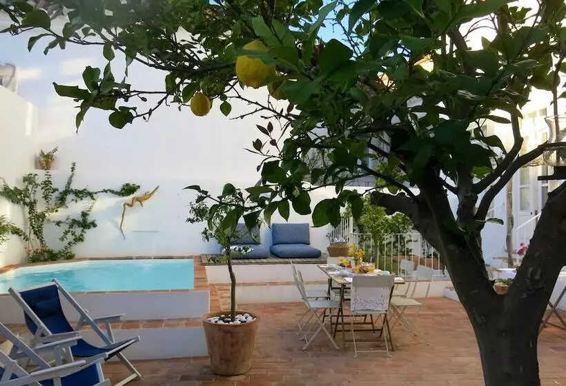 São Paulo Boutique Hotel   Spbh