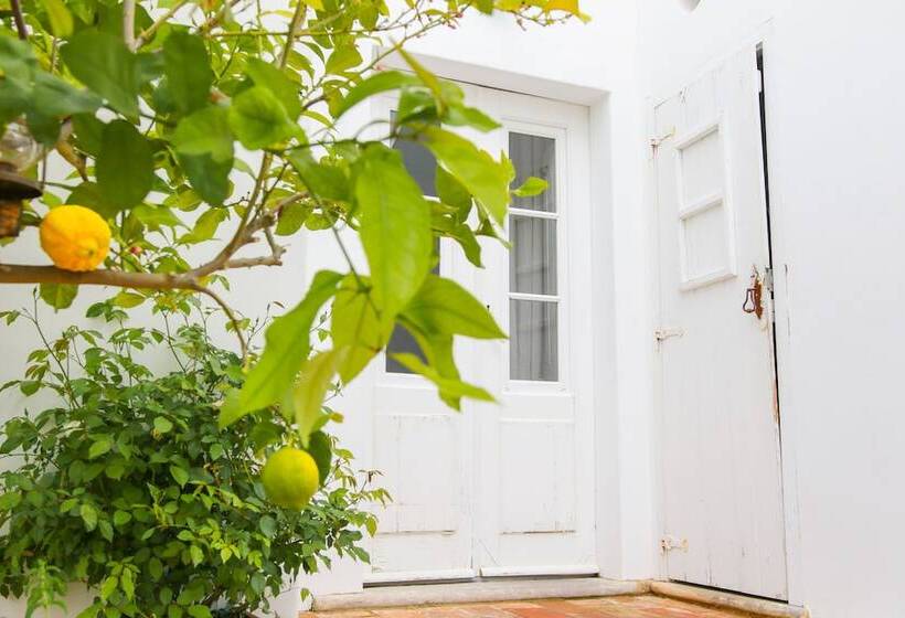 São Paulo Boutique Hotel Spbh