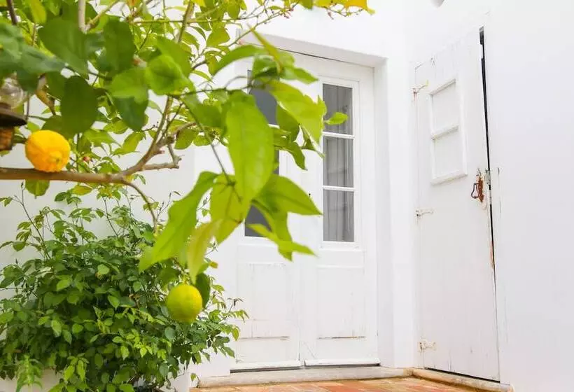 São Paulo Boutique Hotel   Spbh