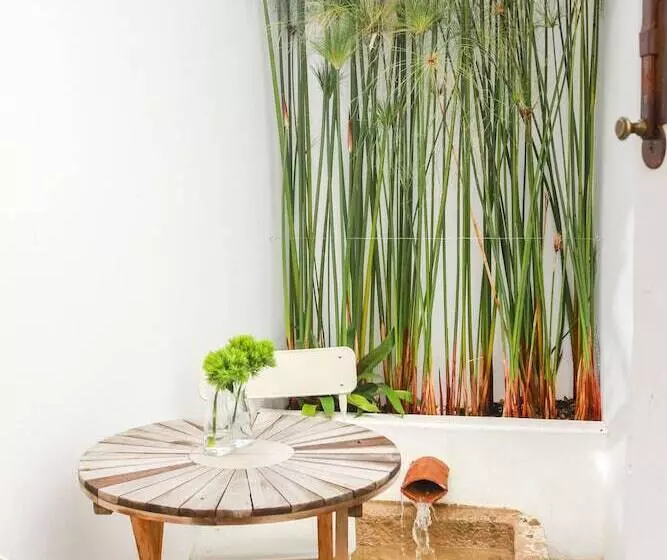 São Paulo Boutique Hotel   Spbh