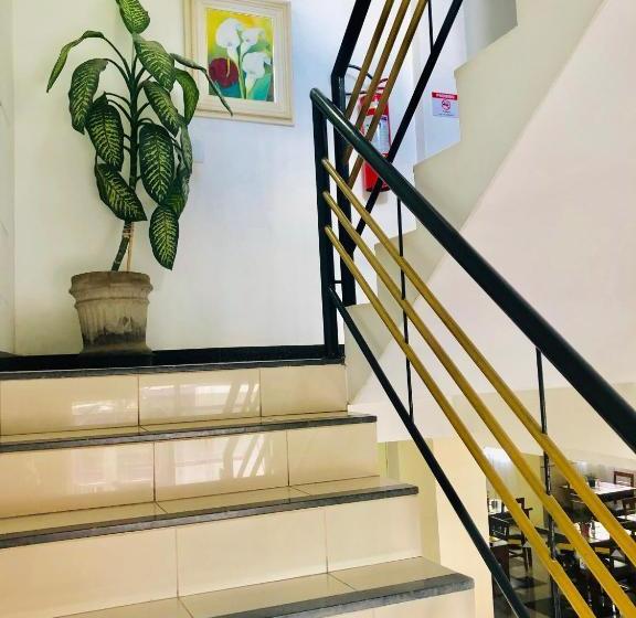 Отель Vidagi Palace