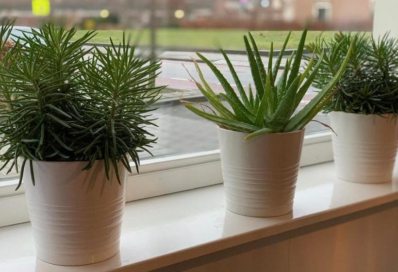 민박 De Oude Wasserij