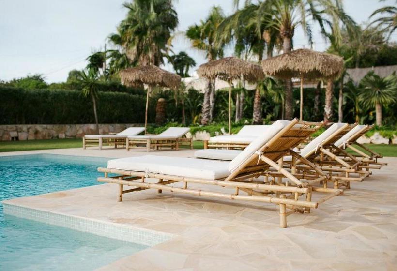 ベッドアンドブレックファースト The Adelante House