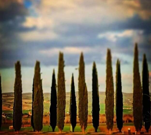 Pensjonat Affittacamere Albafiorita