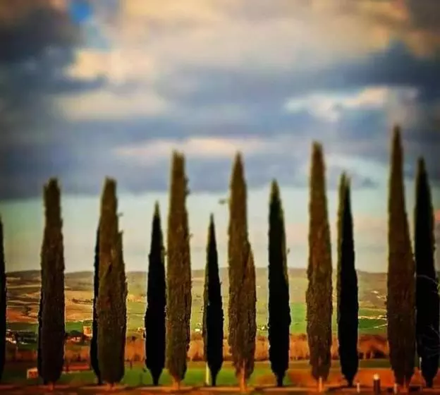 ペンション Affittacamere Albafiorita