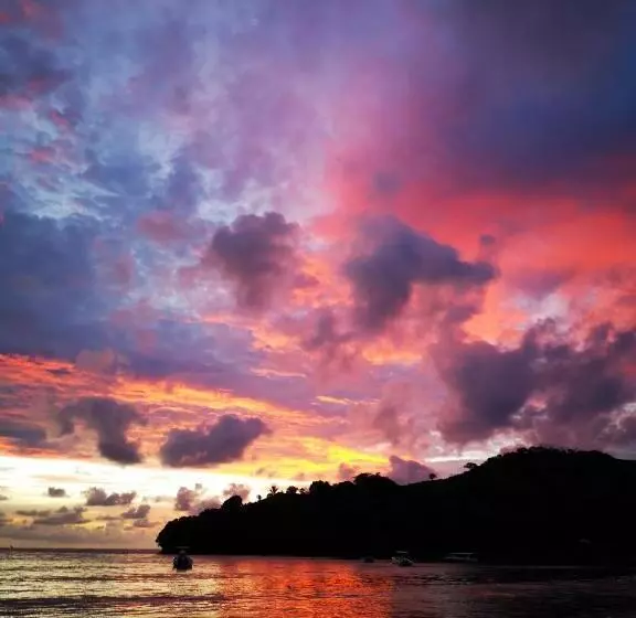 تختخواب و صبحانه Chez Alex