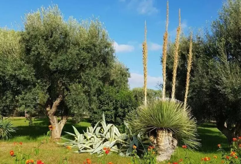 Aamiaismajoitus (B&B) Relais D 'itria