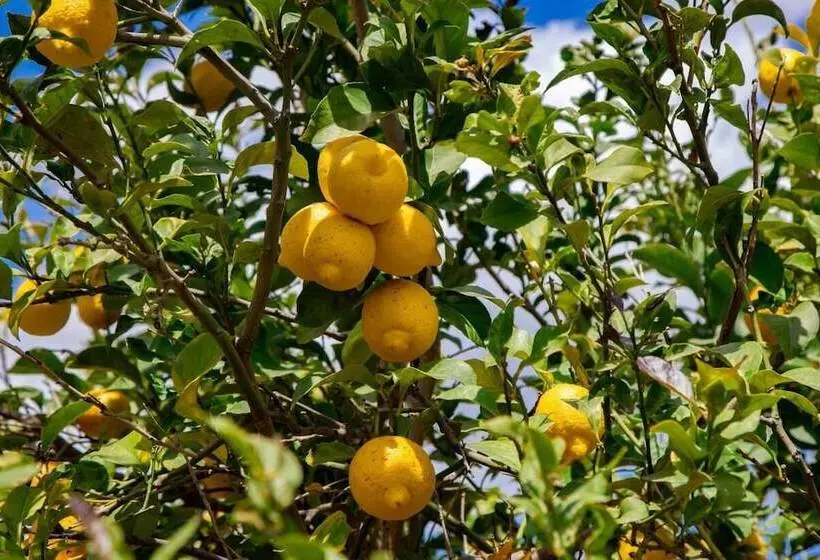 Aamiaismajoitus (B&B) Relais D 'itria