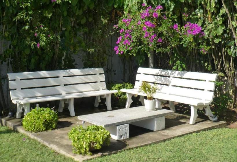 住宿加早餐  Figtree Guesthouse