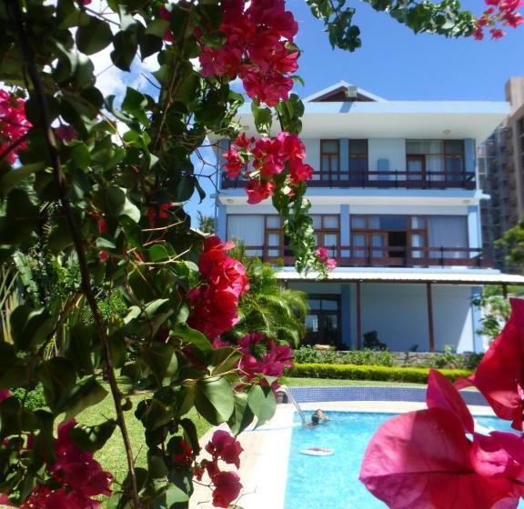 住宿加早餐  Figtree Guesthouse