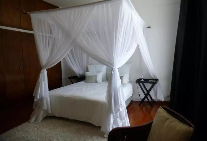 ベッドアンドブレックファースト Figtree Guesthouse
