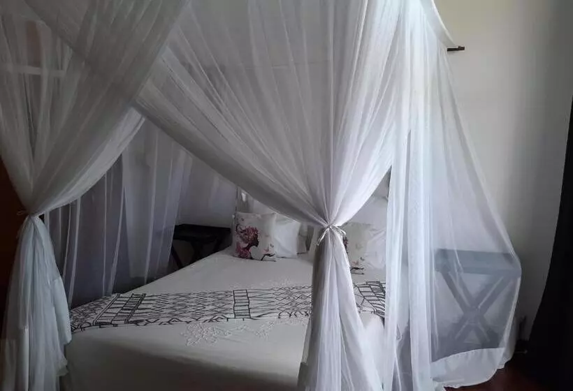 ベッドアンドブレックファースト Figtree Guesthouse