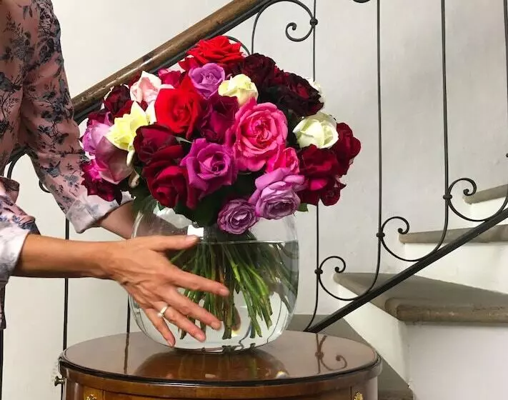 تختخواب و صبحانه Goldenstern Townhouse