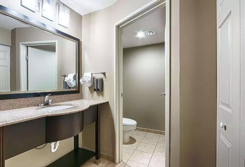 Отель Best Western Plus Pioneer Park Inn