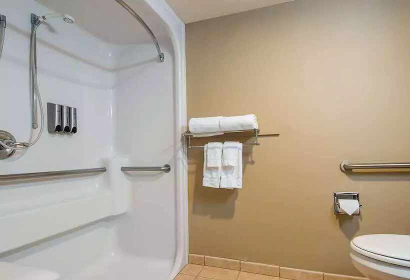 Отель Best Western Plus Pioneer Park Inn