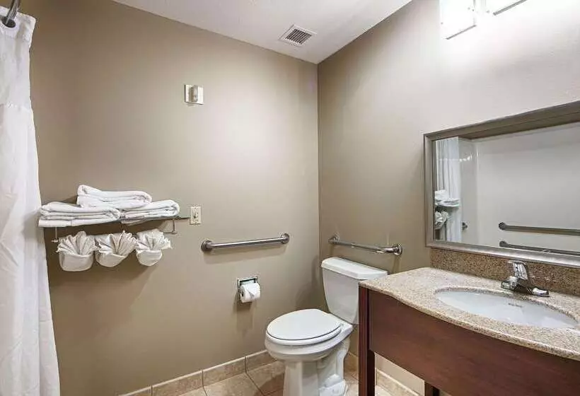 Отель Best Western Plus Pioneer Park Inn