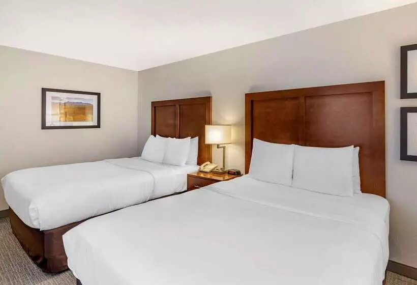 ホテル Comfort Inn & Suites Carbondale On The Roaring Fork