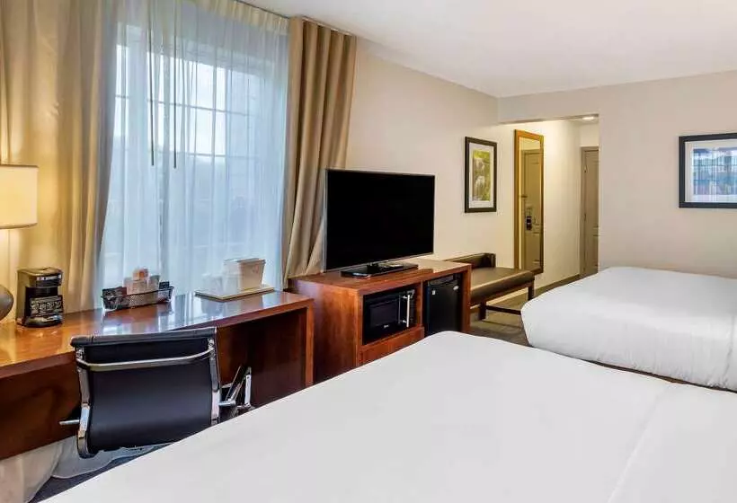 ホテル Comfort Inn & Suites Carbondale On The Roaring Fork