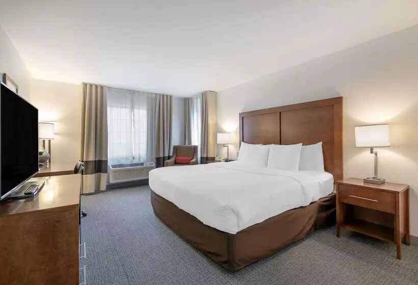 ホテル Comfort Inn & Suites Carbondale On The Roaring Fork