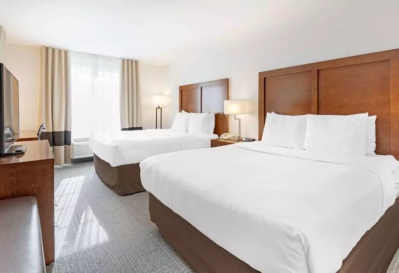 ホテル Comfort Inn & Suites Carbondale On The Roaring Fork