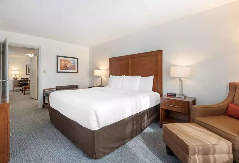 ホテル Comfort Inn & Suites Carbondale On The Roaring Fork