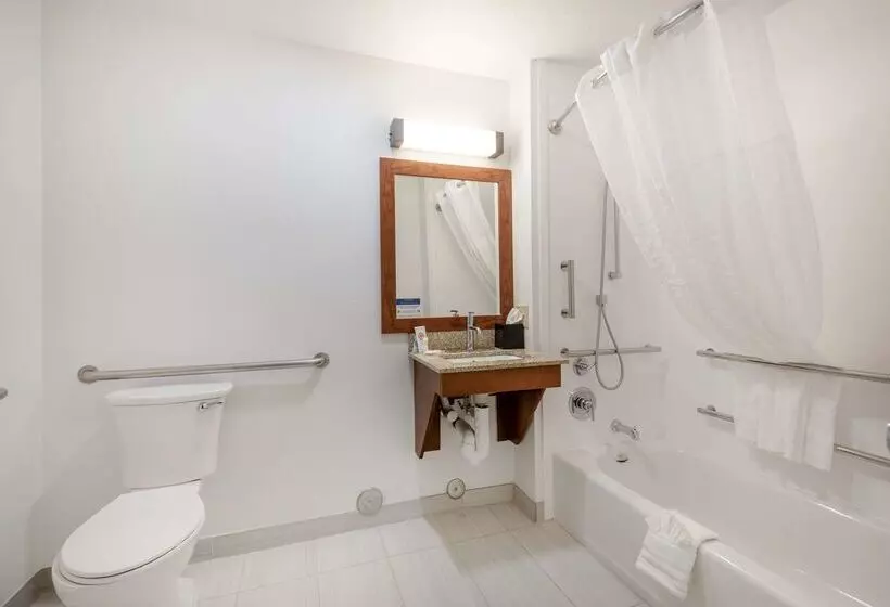 ホテル Comfort Inn & Suites Carbondale On The Roaring Fork