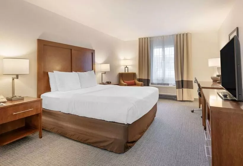 ホテル Comfort Inn & Suites Carbondale On The Roaring Fork