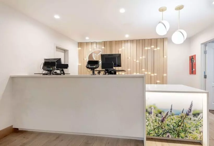 ホテル Comfort Inn & Suites Carbondale On The Roaring Fork