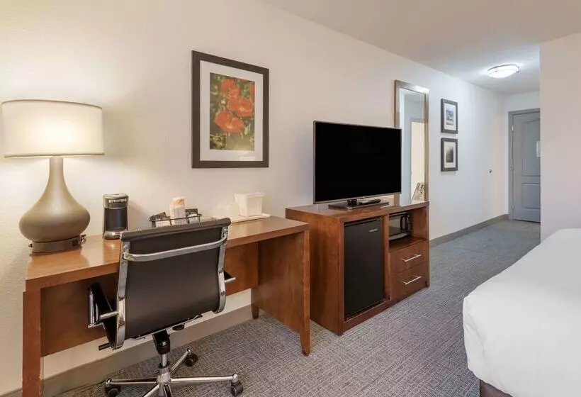 ホテル Comfort Inn & Suites Carbondale On The Roaring Fork