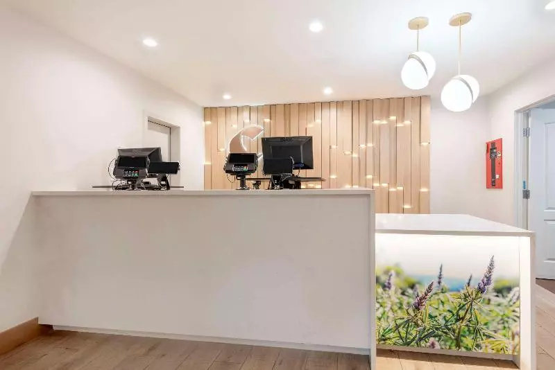 ホテル Comfort Inn & Suites Carbondale On The Roaring Fork