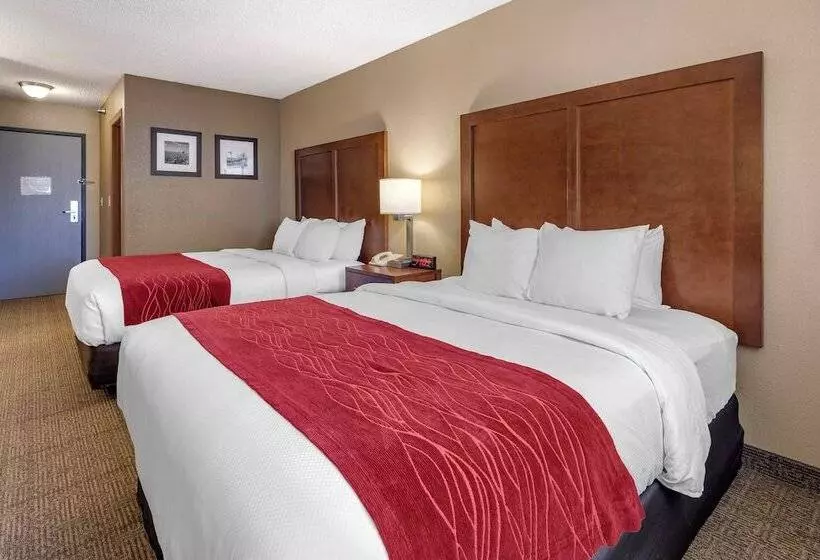 酒店 Comfort Inn & Suites Hays I70