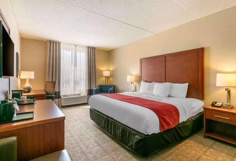 酒店 Comfort Inn & Suites Nashville Franklin Cool Springs