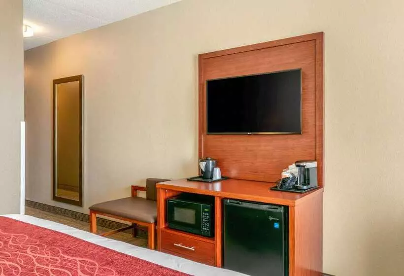 酒店 Comfort Inn & Suites Nashville Franklin Cool Springs
