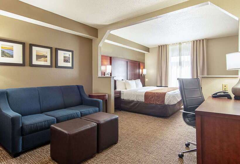 فندق Comfort Suites Knoxville Airport