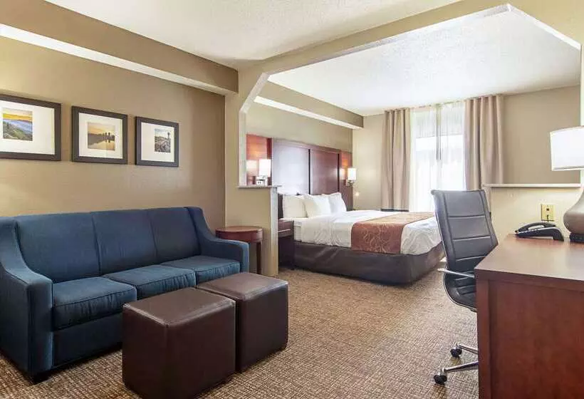 فندق Comfort Suites Knoxville Airport