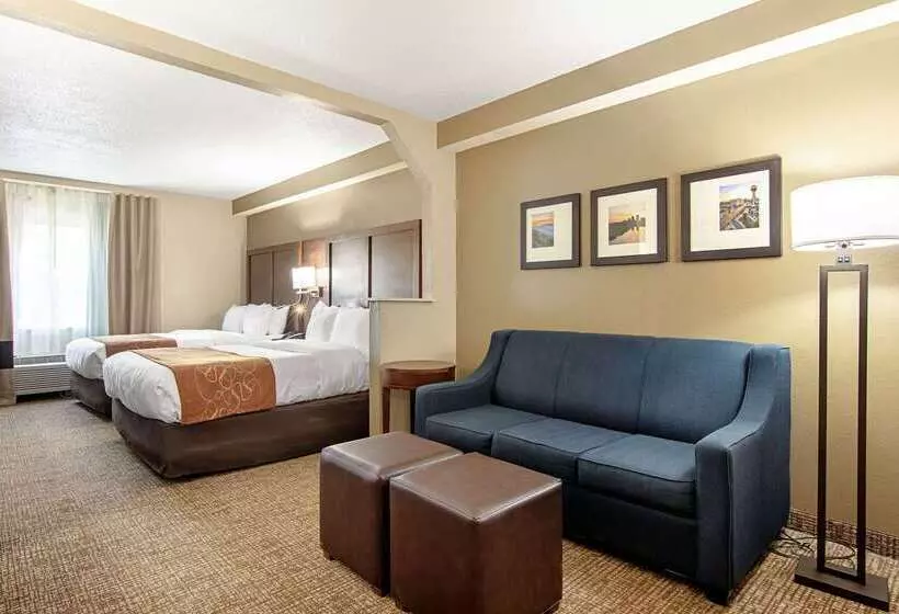 فندق Comfort Suites Knoxville Airport